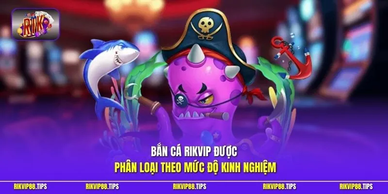 Bắn cá Rikvip được phân loại theo mức độ kinh nghiệm