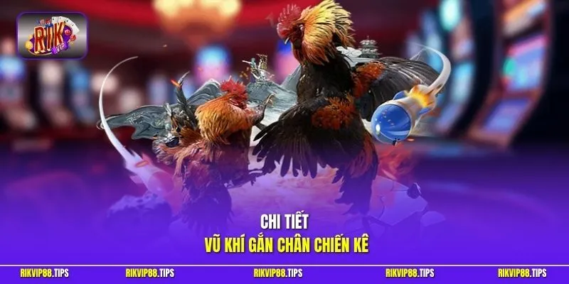 Chi tiết vũ khí gắn chân chiến kê